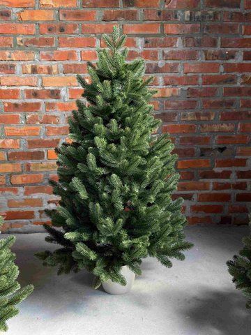 Ялинка в горщику №3 0.6 м зелена 00250 фото